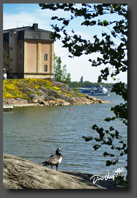Helsinki, Korkeasaari