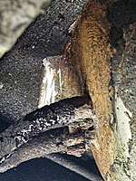 tankinkulma